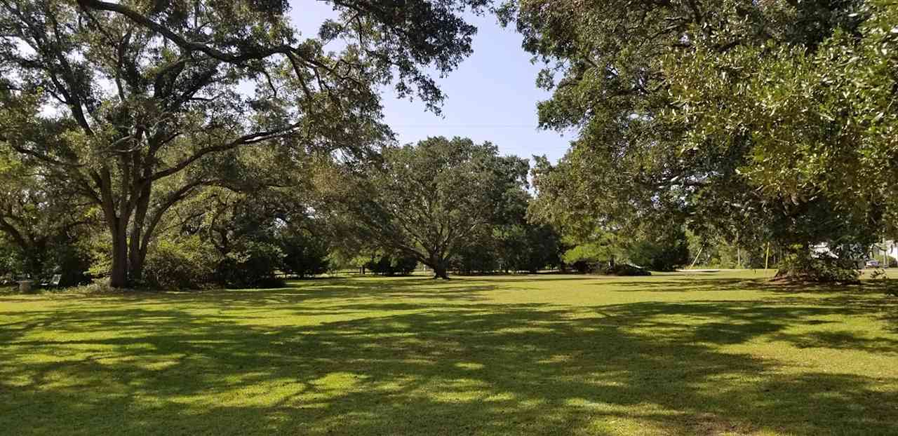 Live Oaks Farm