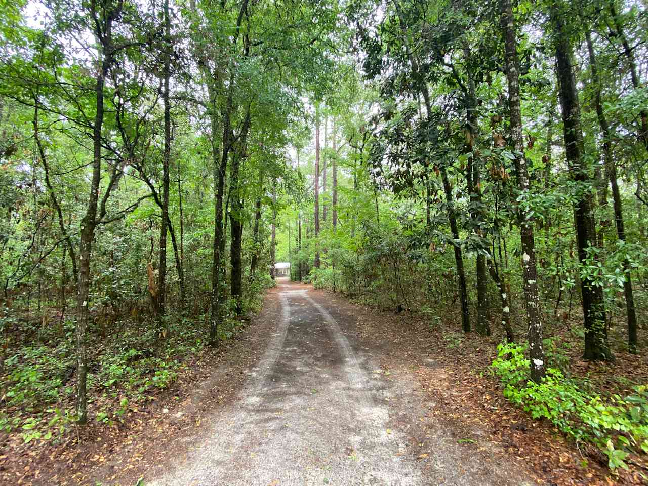 The campsite is totally private and surrounded by trees.