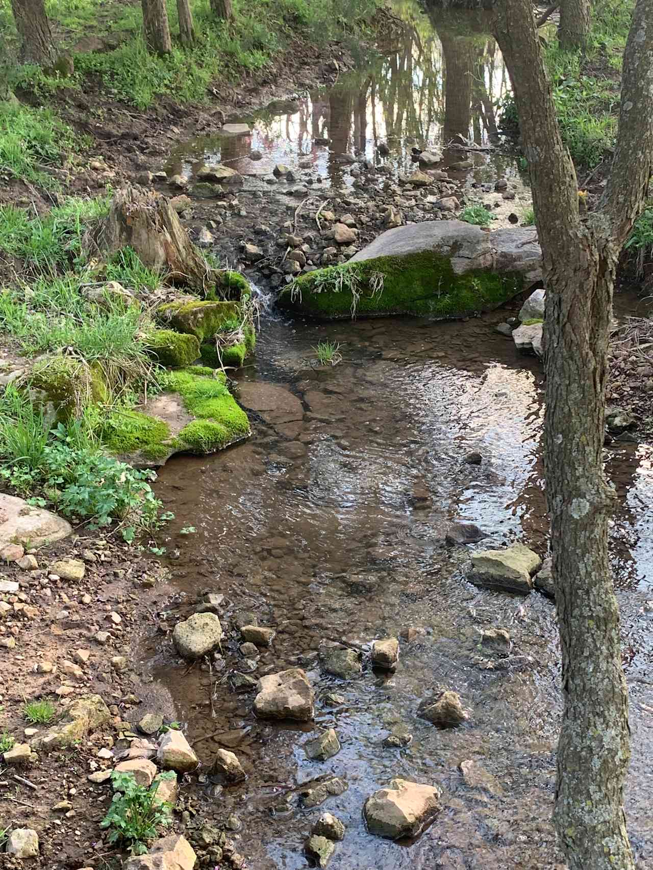 Blessed Valley