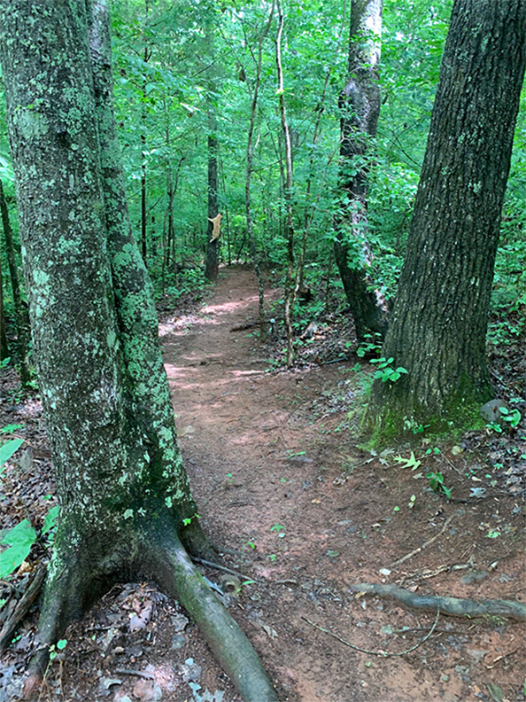 Forest & Farm Camping Retreat