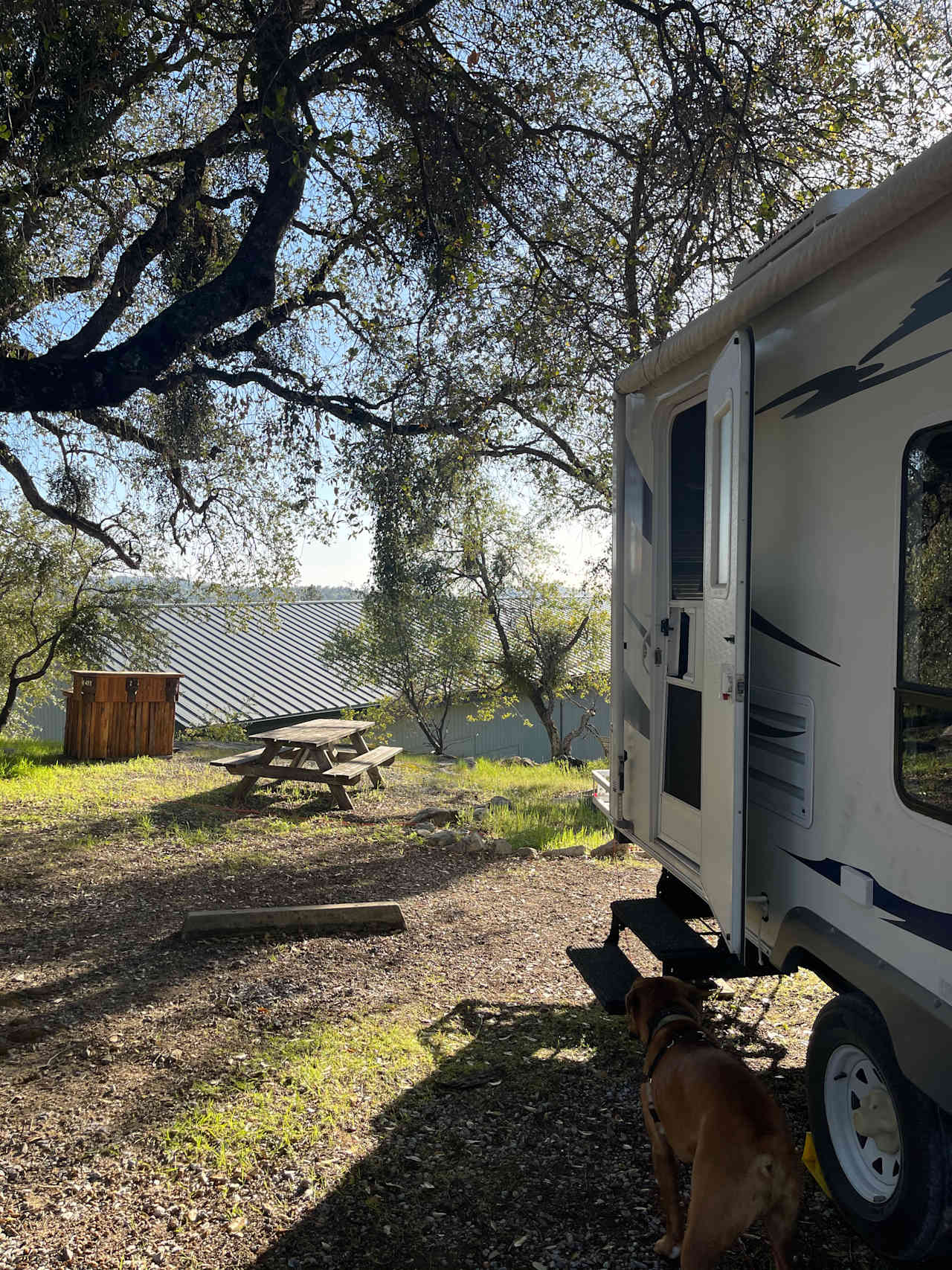 Camp 🏕 Gold Dust Vineyard