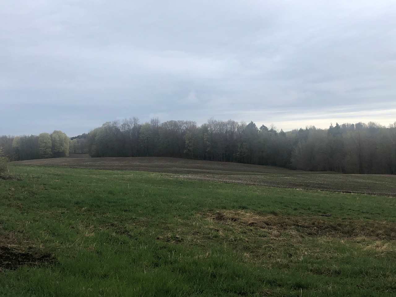 Keefe Farms