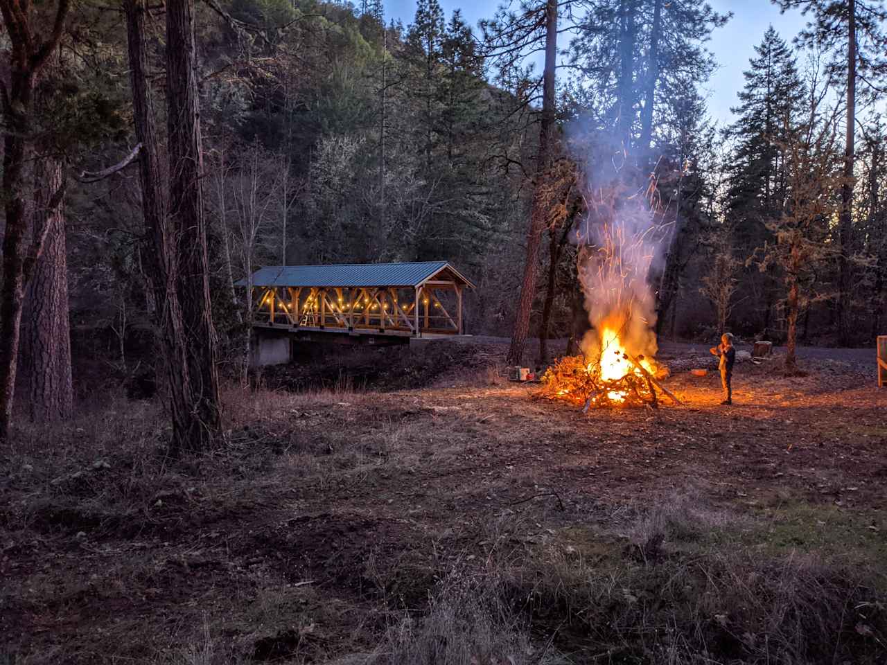 Forested creekside campsite