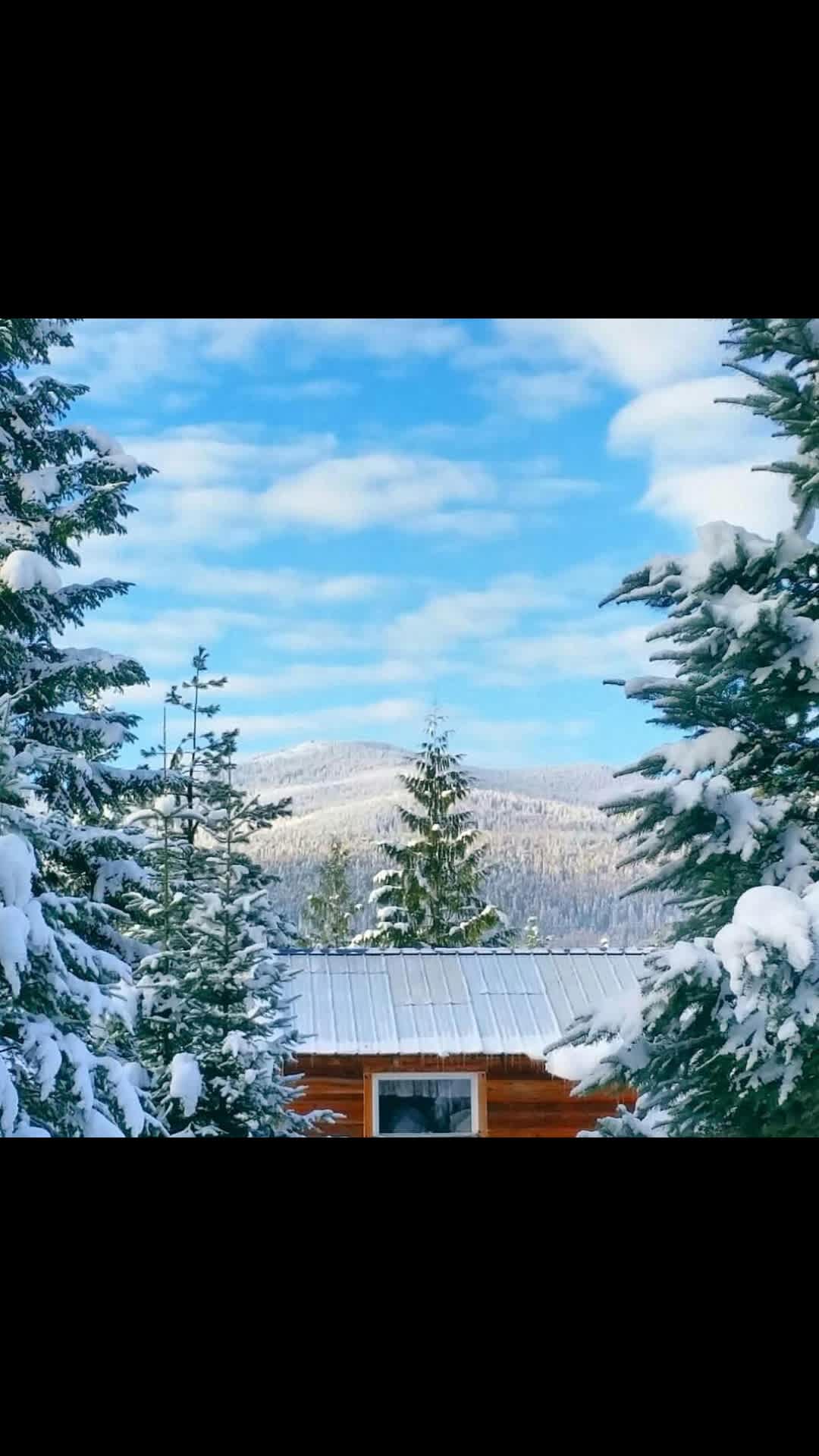 Nonetheless Offgrid Homestead