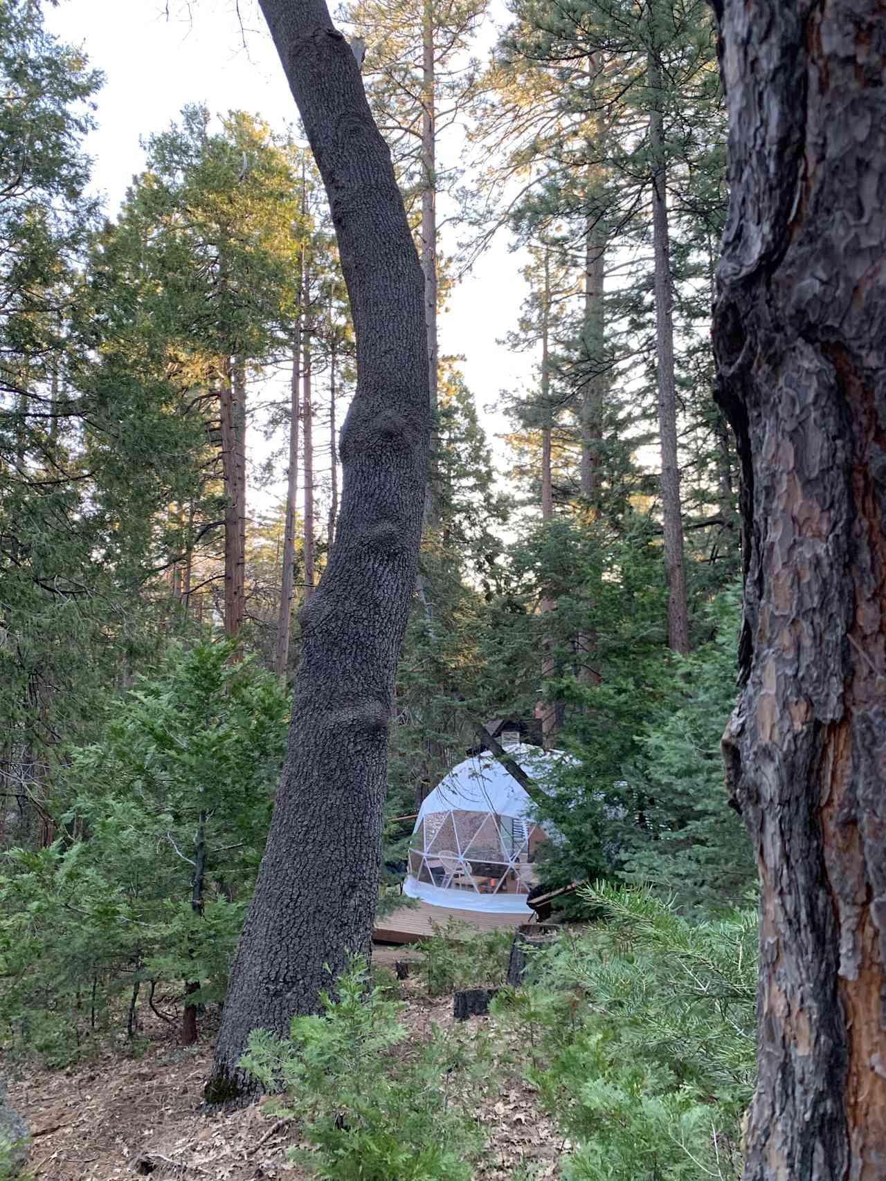 Idyllwild Geodesic Dome Experience