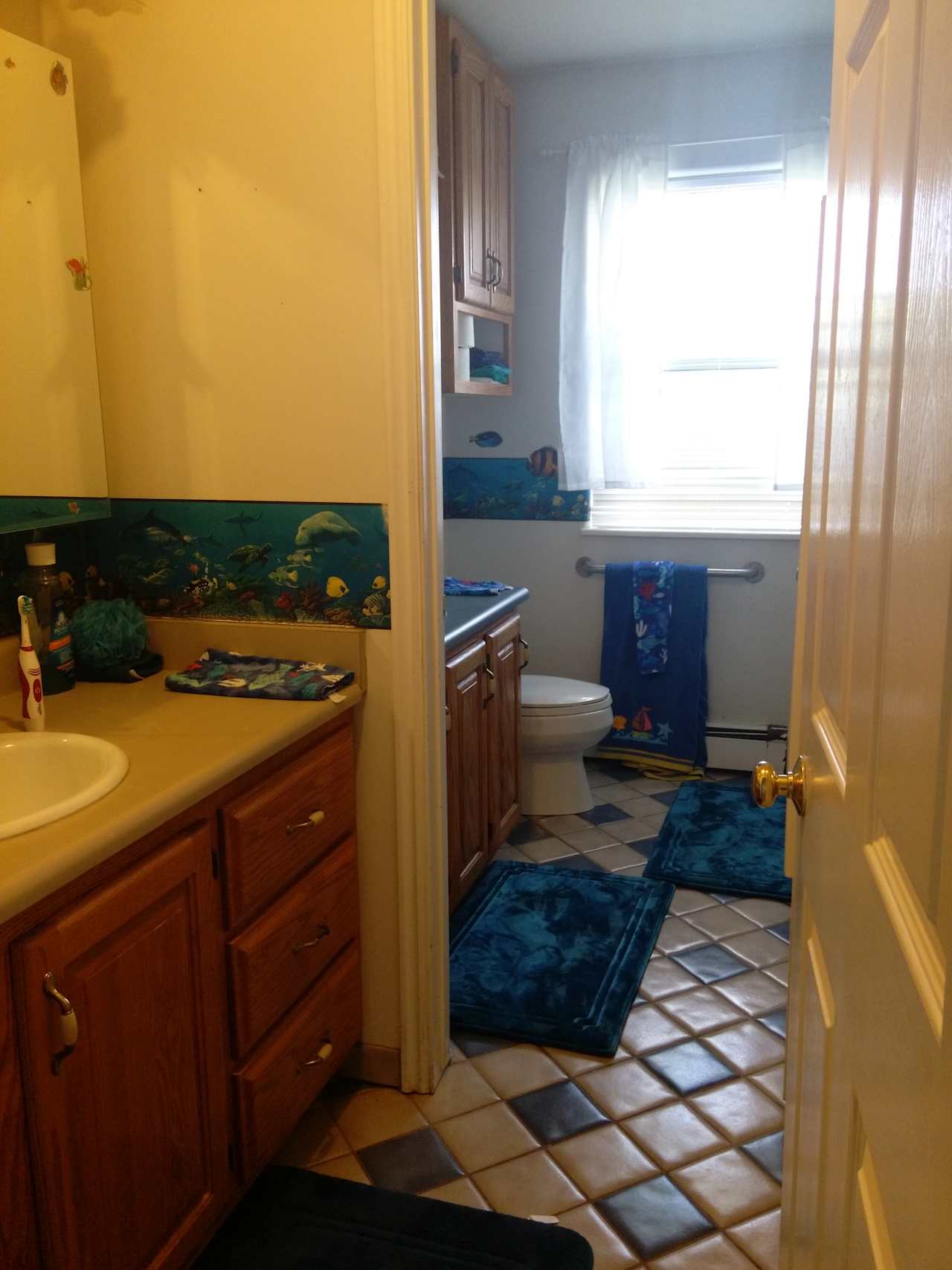 The Indoor showers are wall stocked with bathing supplies. 