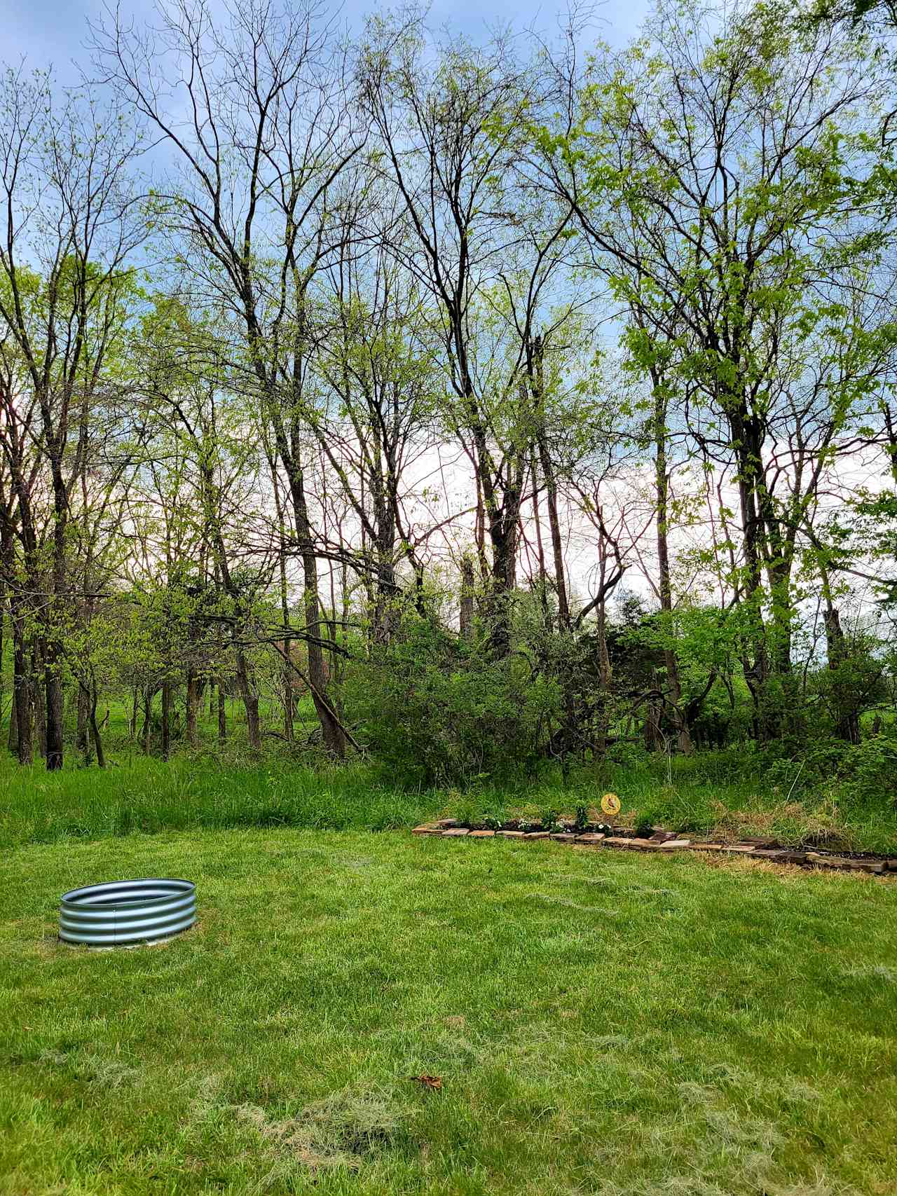 Wineberry Grove