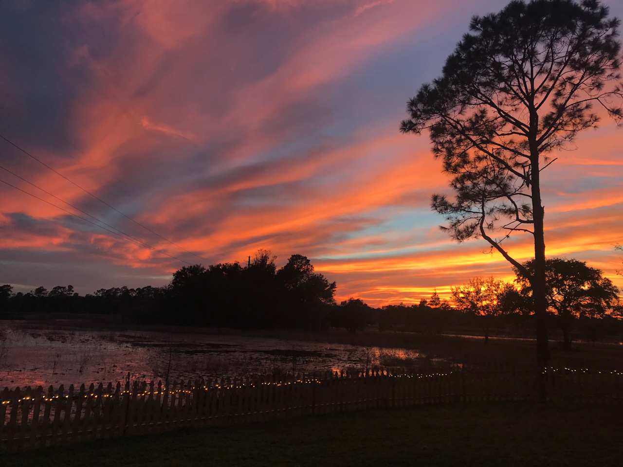 Real Florida camping