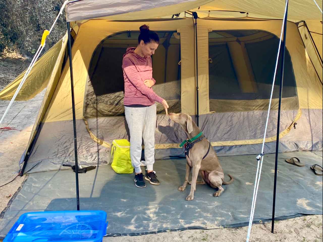 Camp visit from a neighbour