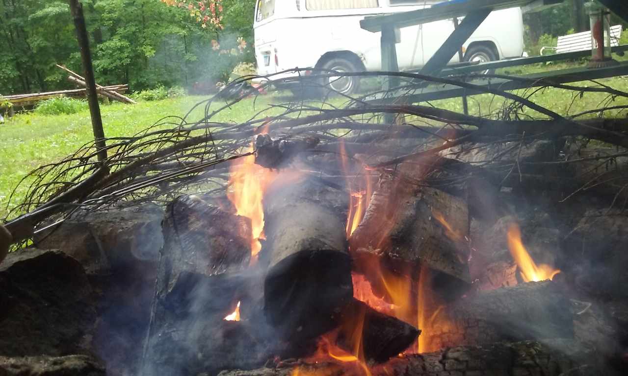 Camp among the oaks and hickory