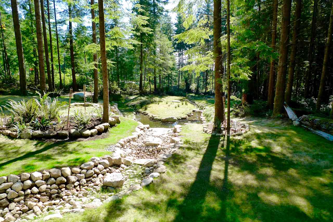 Forest Sanctuary