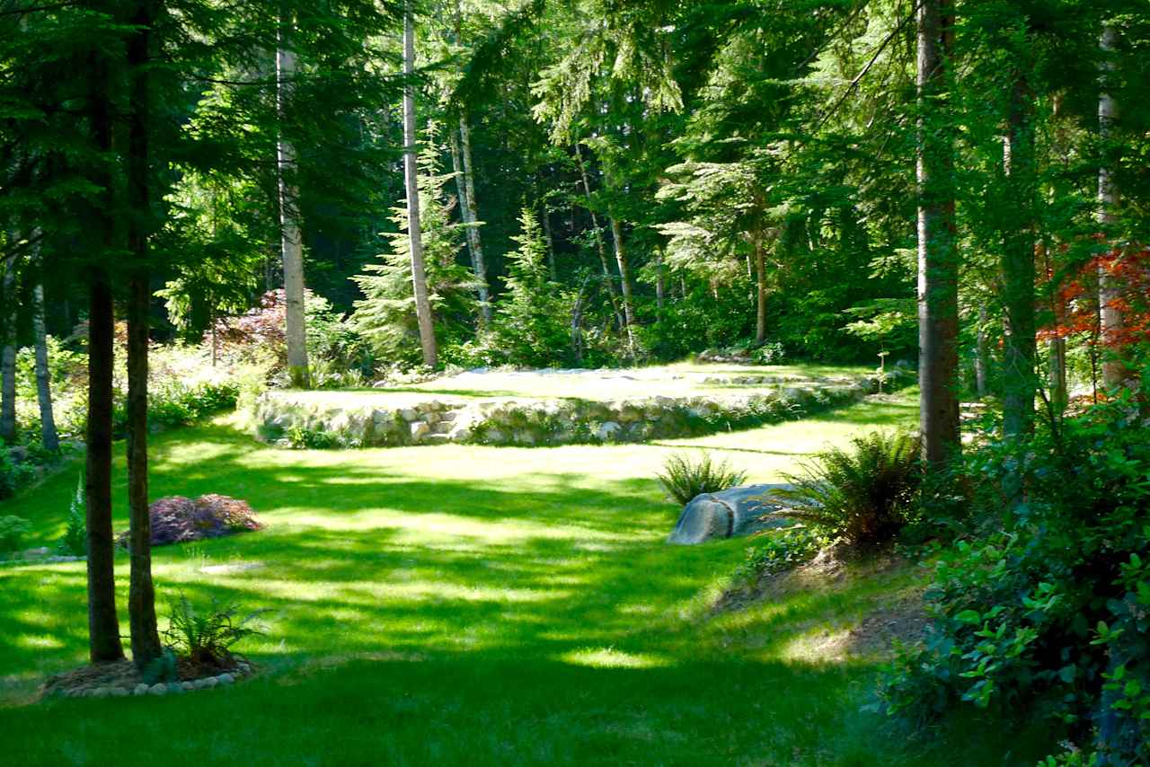 Forest Sanctuary