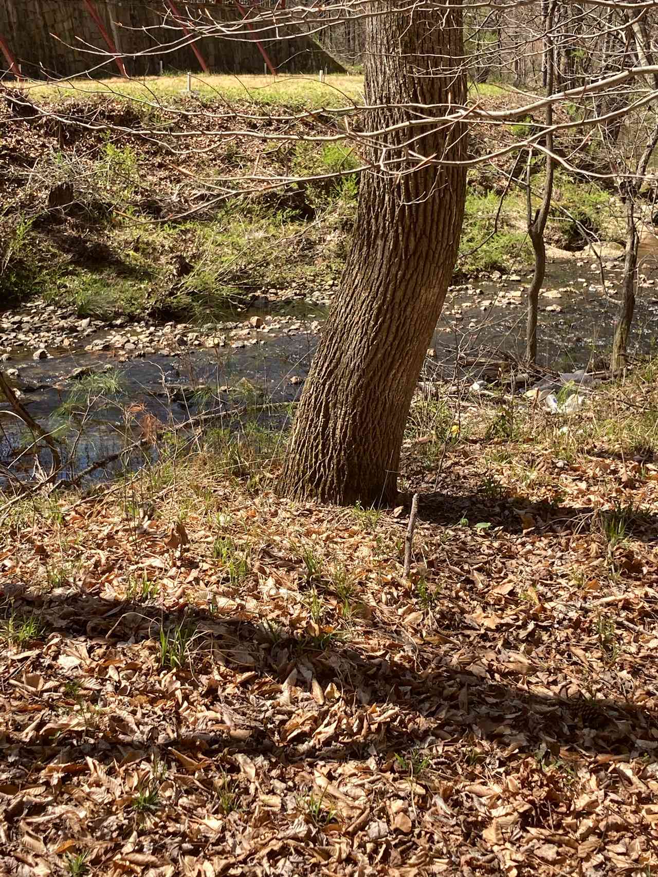Ironwood Crossing