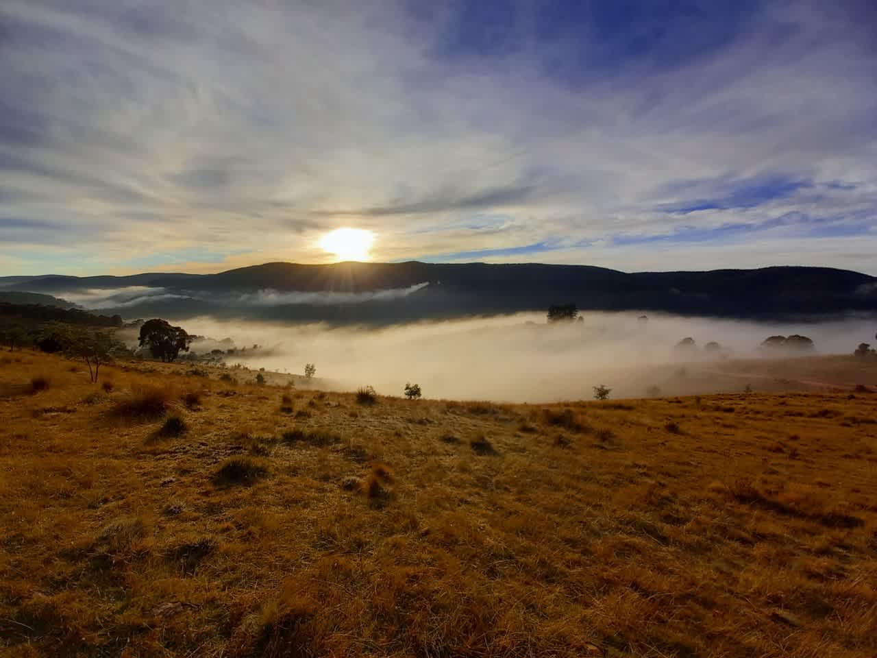 Early morning fog in the valley