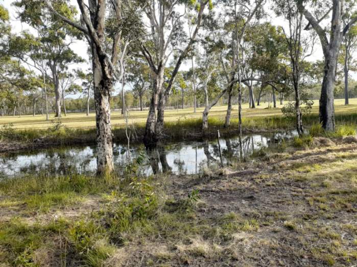 Korners Bush Escape Deepwater