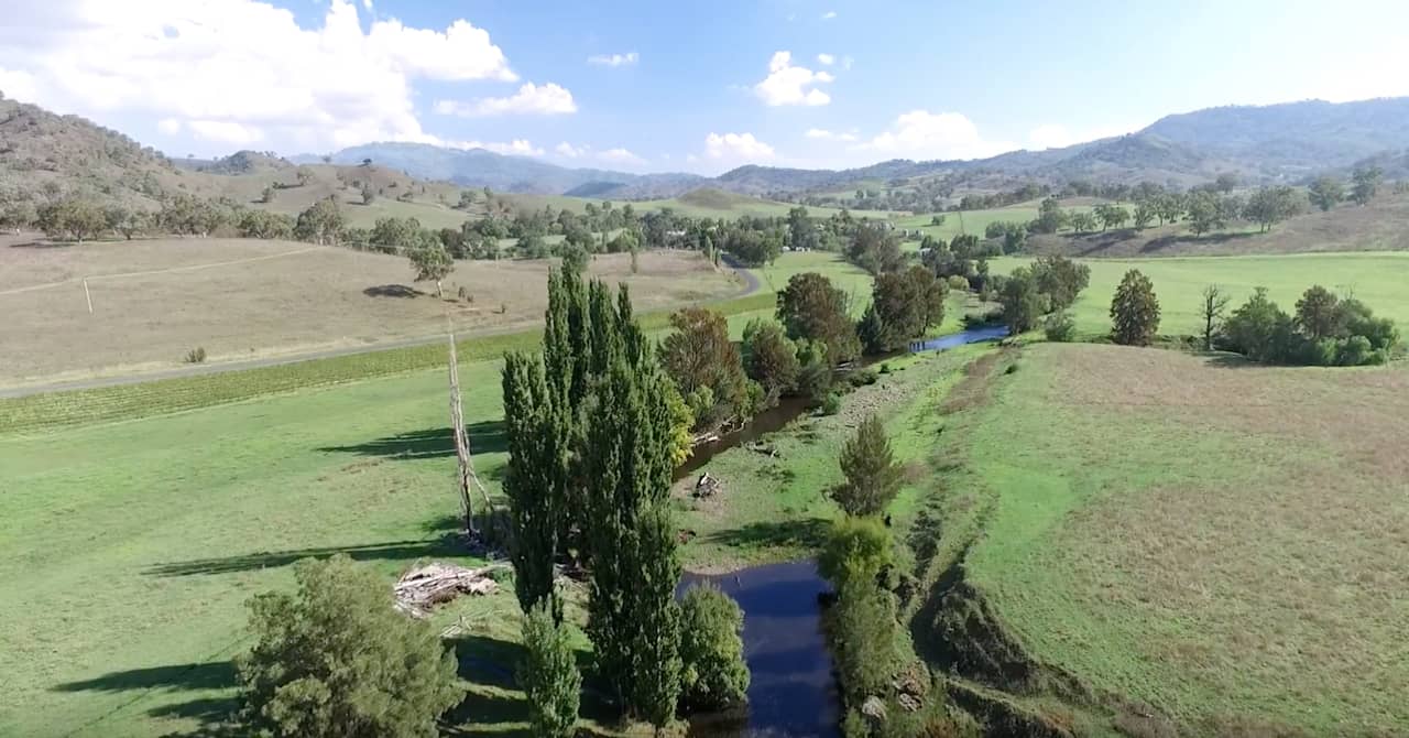 Roma Orchard - Hunter Valley