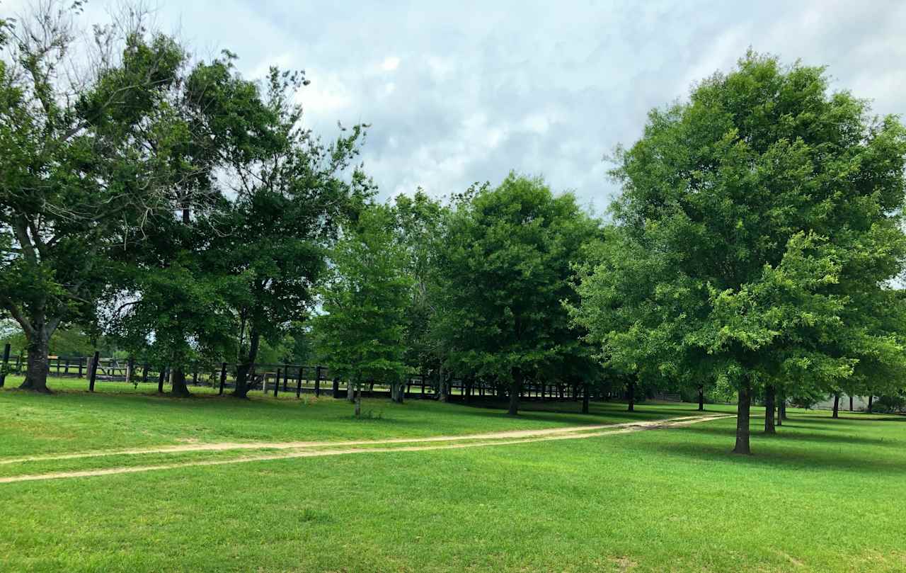 Beautiful 400 Acre Horse Farm