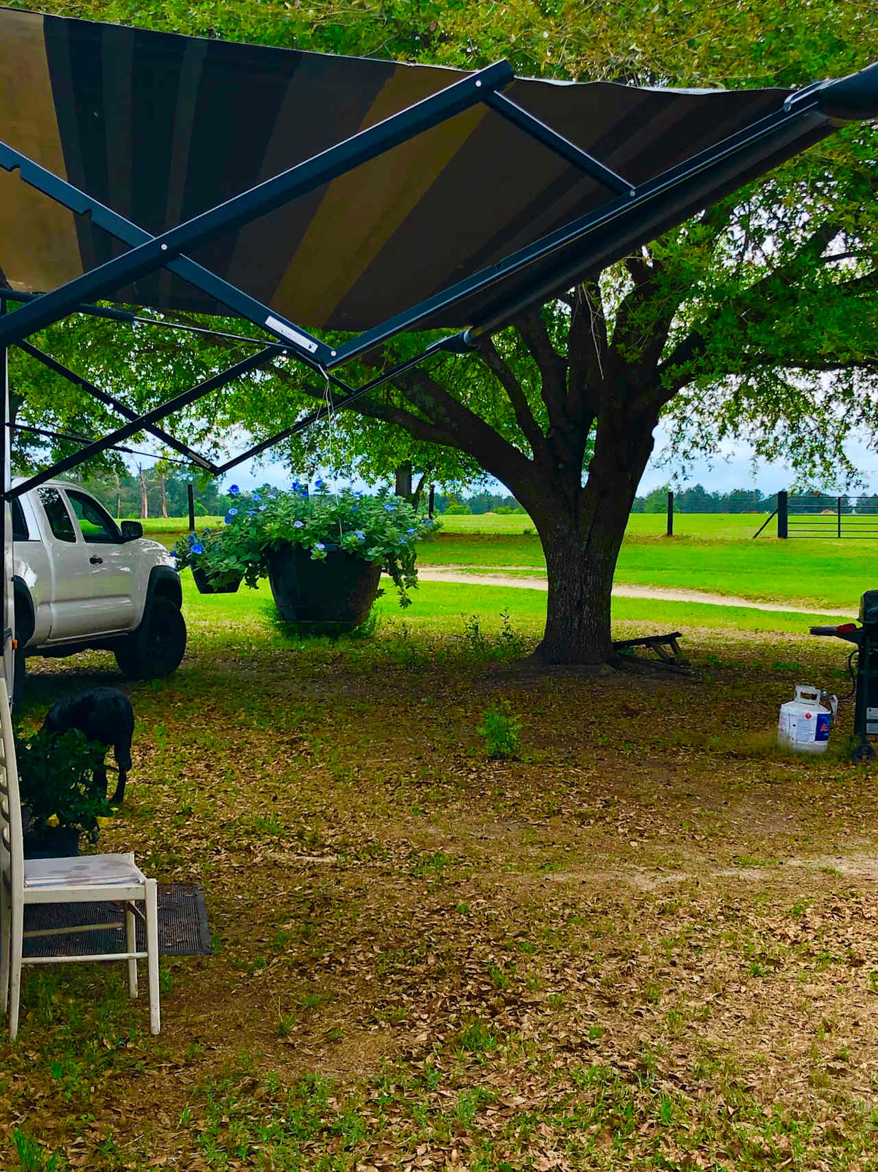 Beautiful 400 Acre Horse Farm