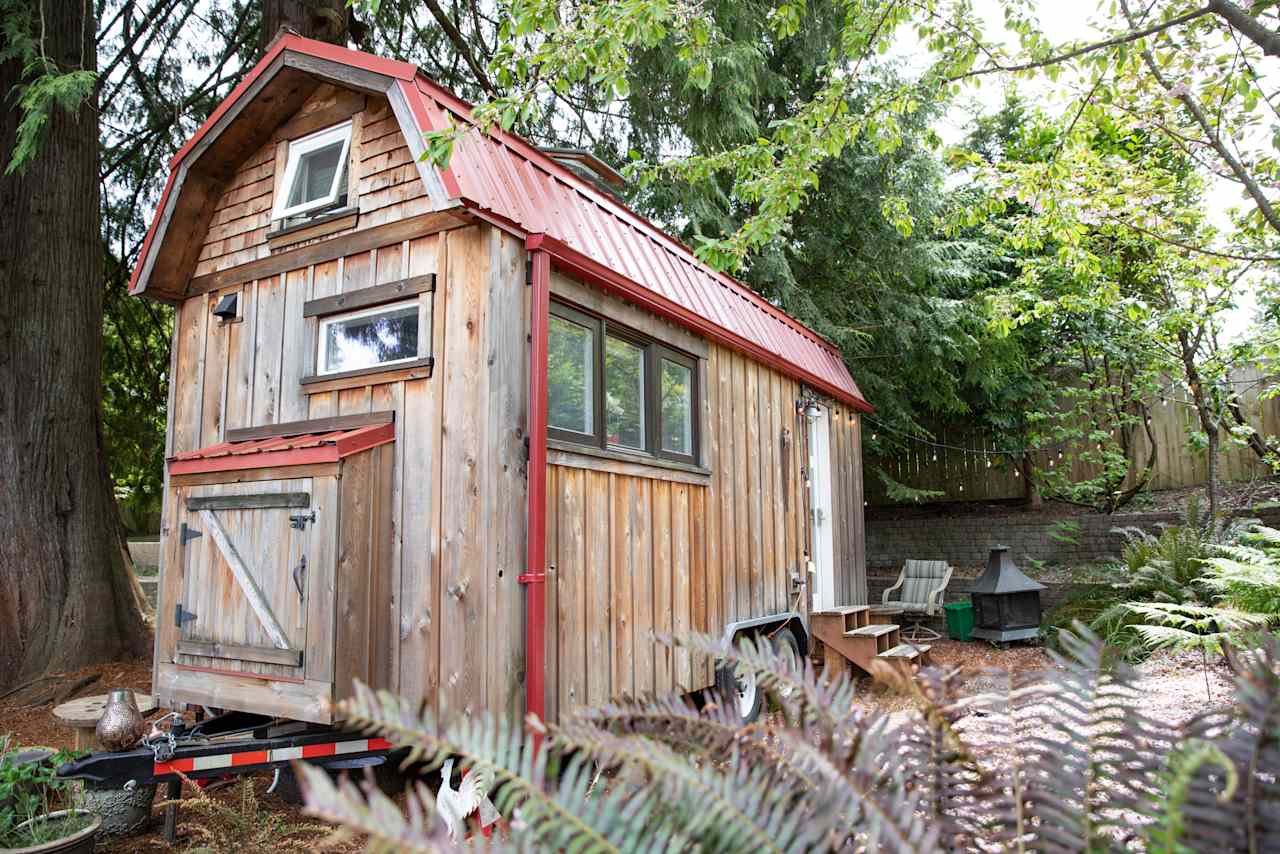 Exterior of the tiny house, surrounded by lush trees 