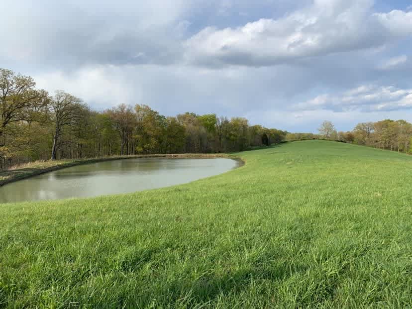 The photo of the pond campsite