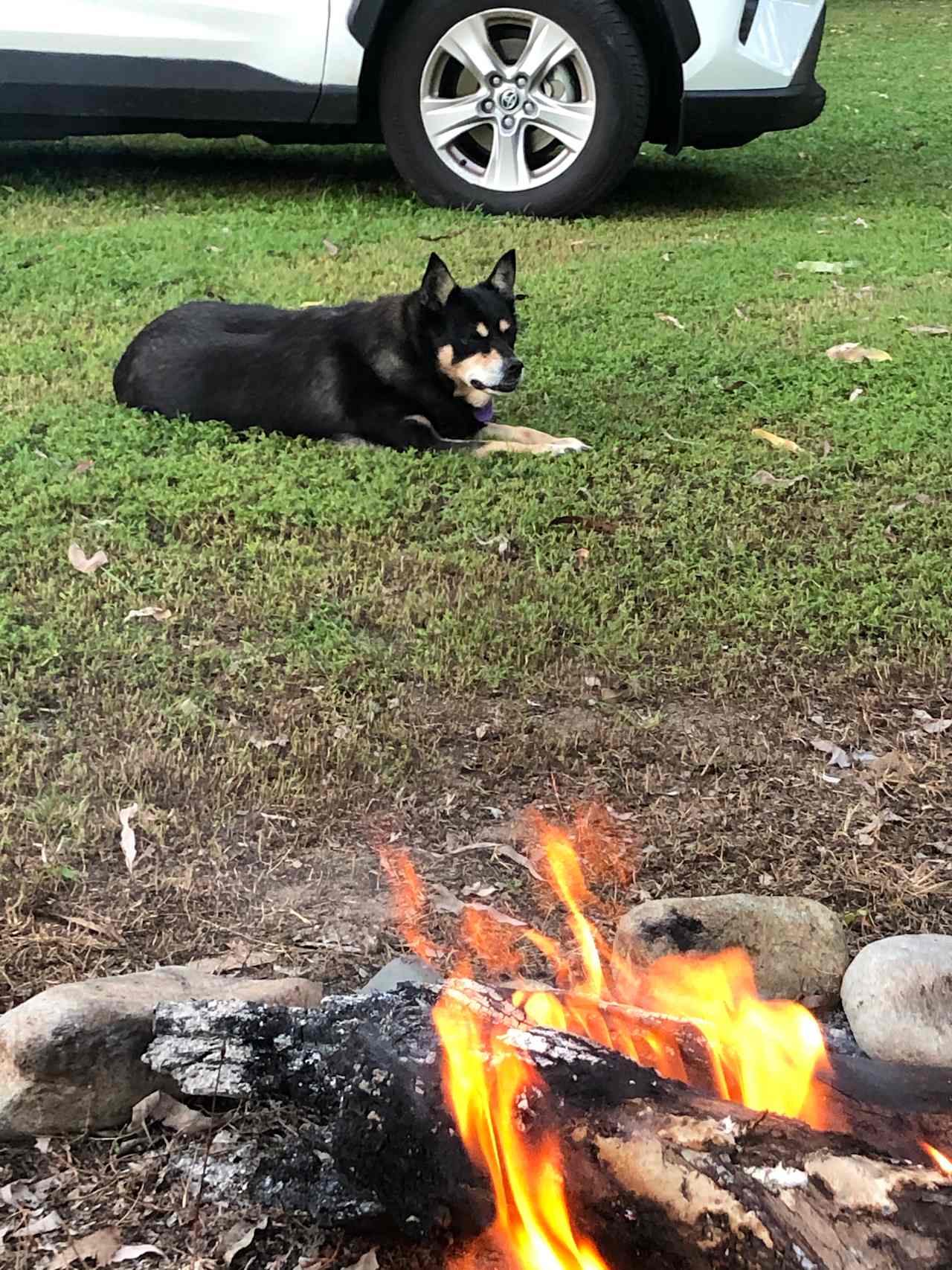 Crystal Creek Nywaigi Camp Grounds