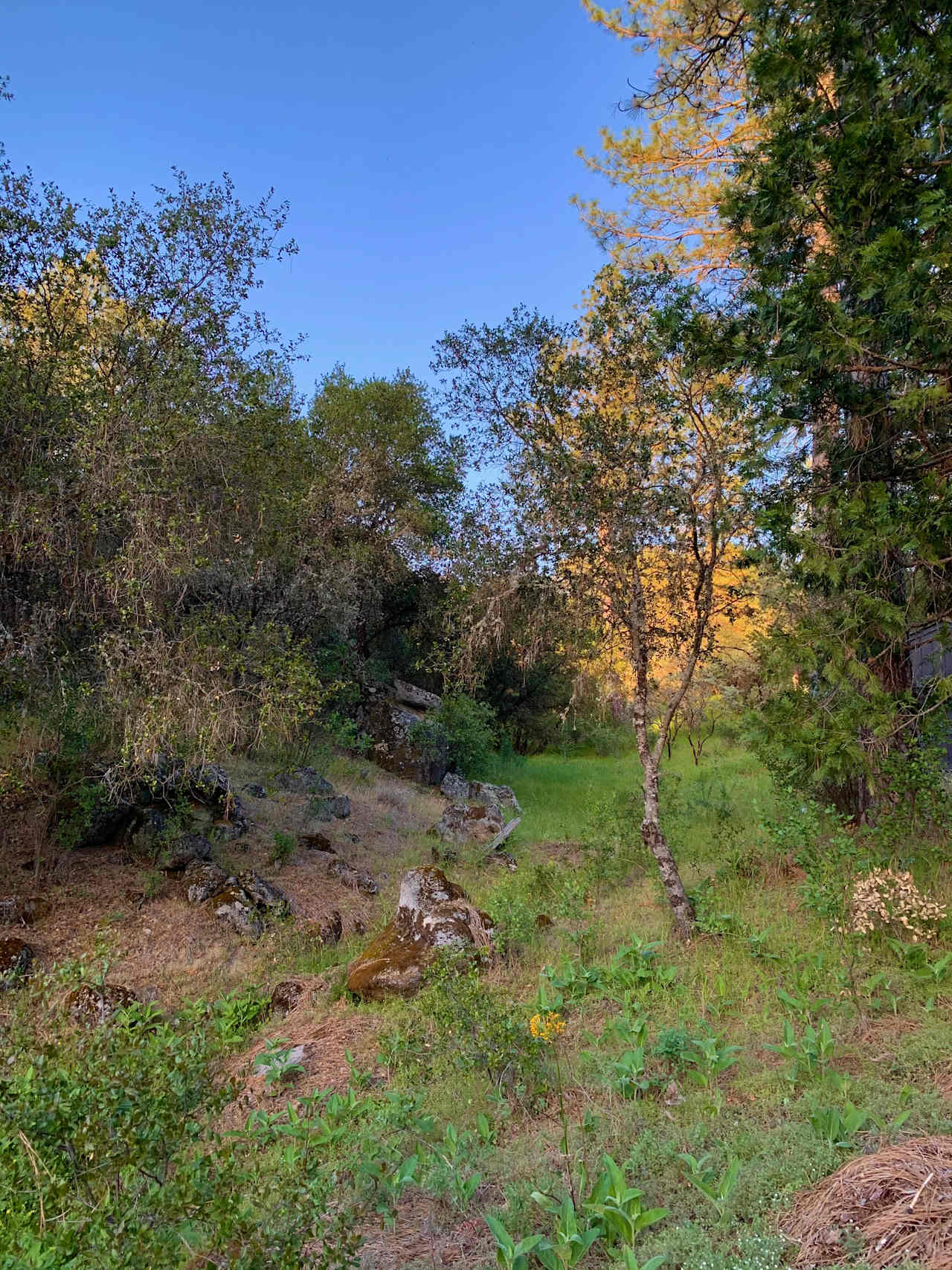 View of the trail leading from the river up to the campsite