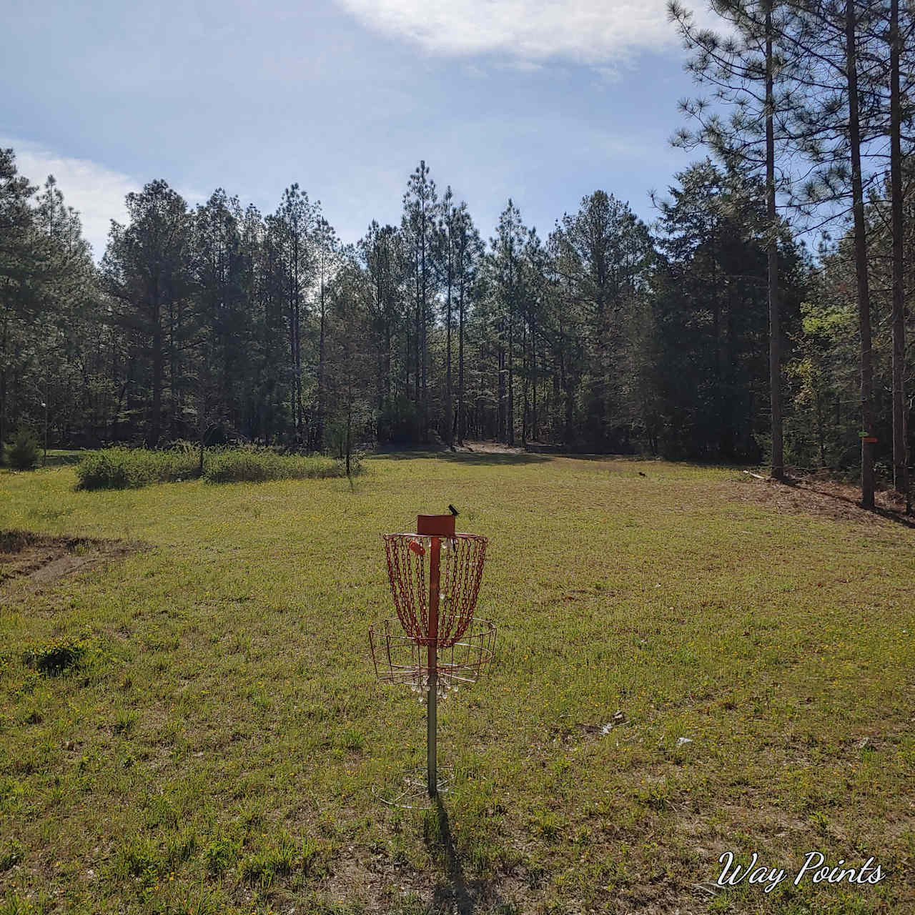 Camp, Mountain bike, Disc golf.