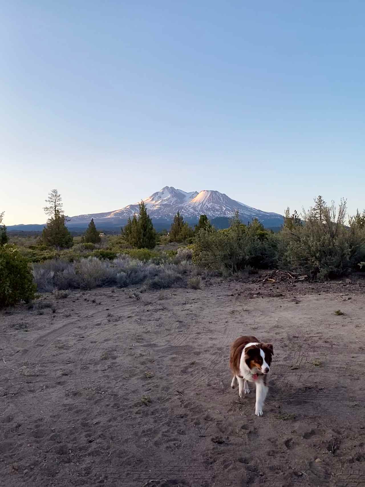 Juniper Valley Campsites
