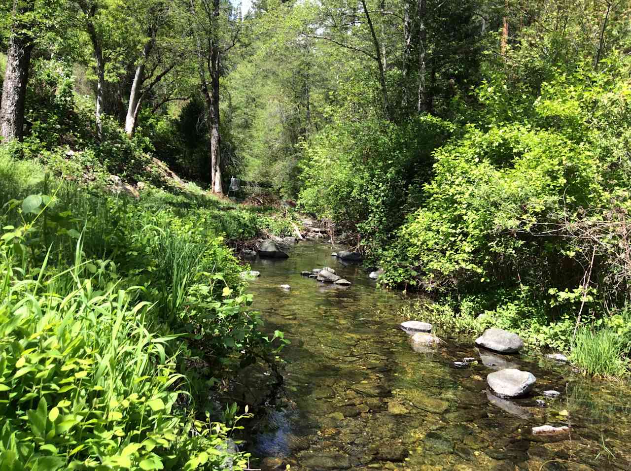 Salmon River Camping & Disc Golf