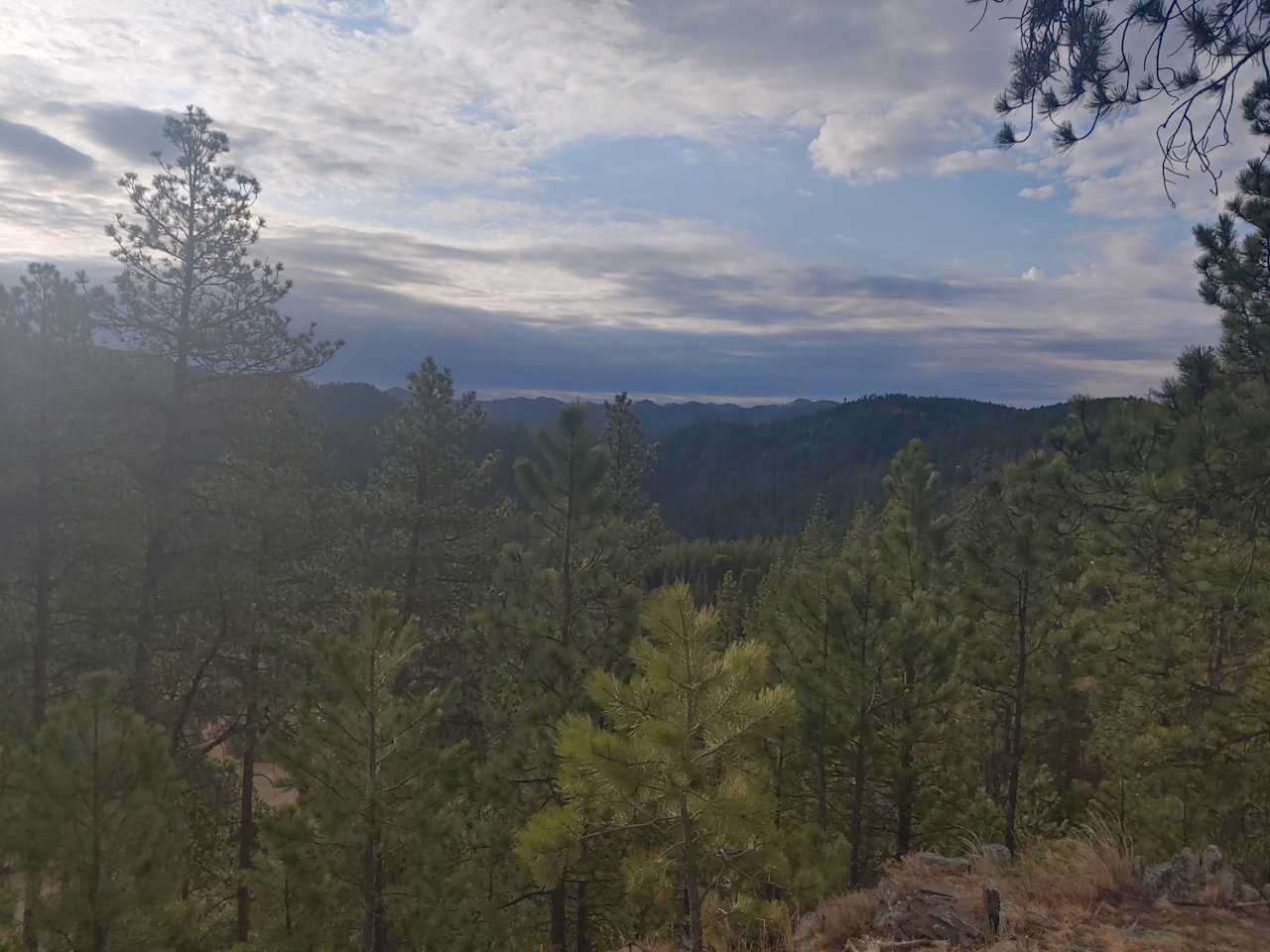 The Wilderness