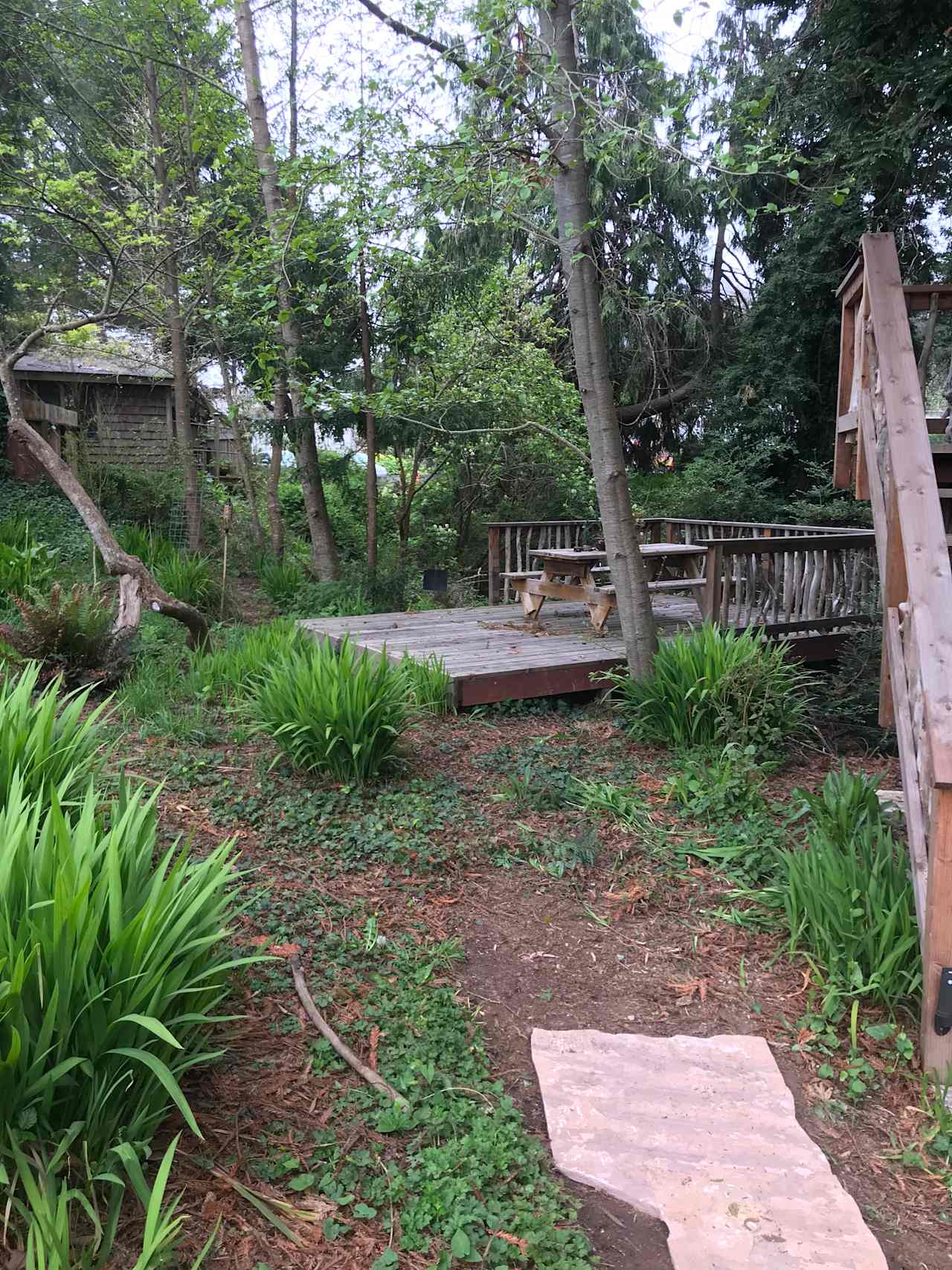 13th St Tree House
