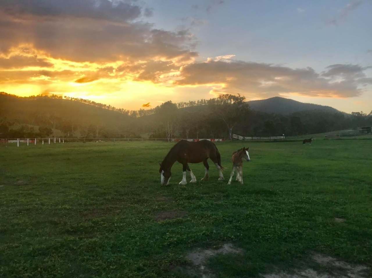 Just as the sun sets over Mount Archer, is the best time of the day.