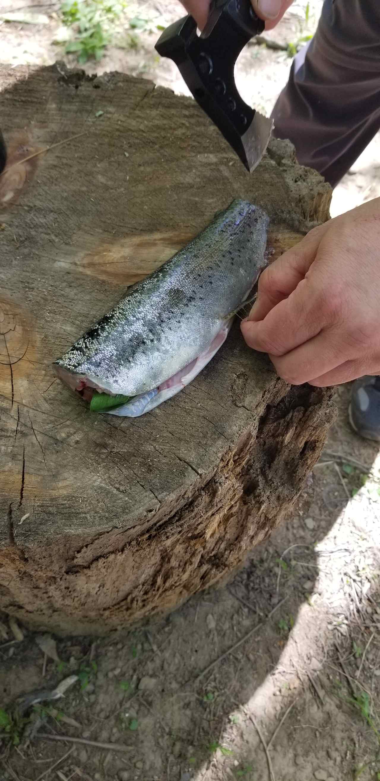 Creek kept our beverages cold