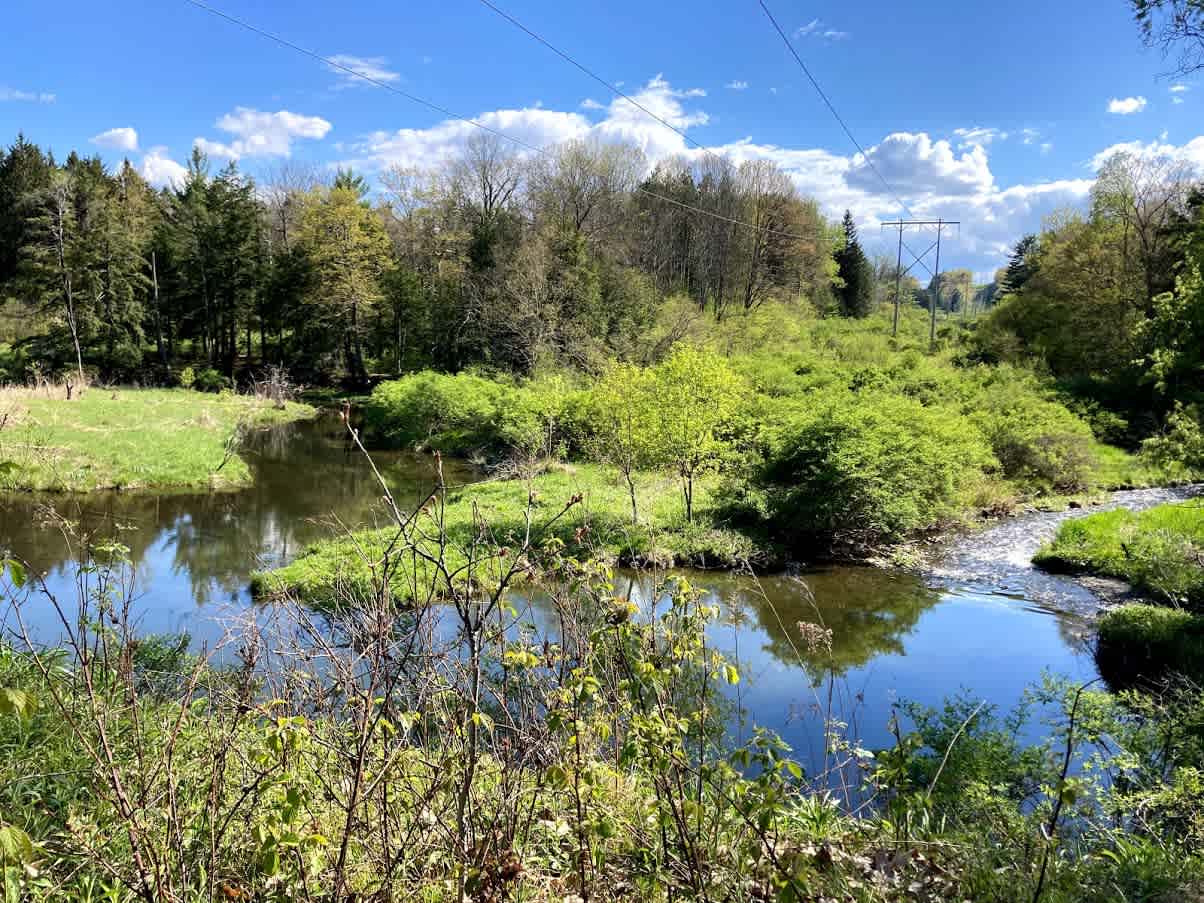 Vista views of Cascadilla Creek as it bends into a pond where you can float, row or swim. 