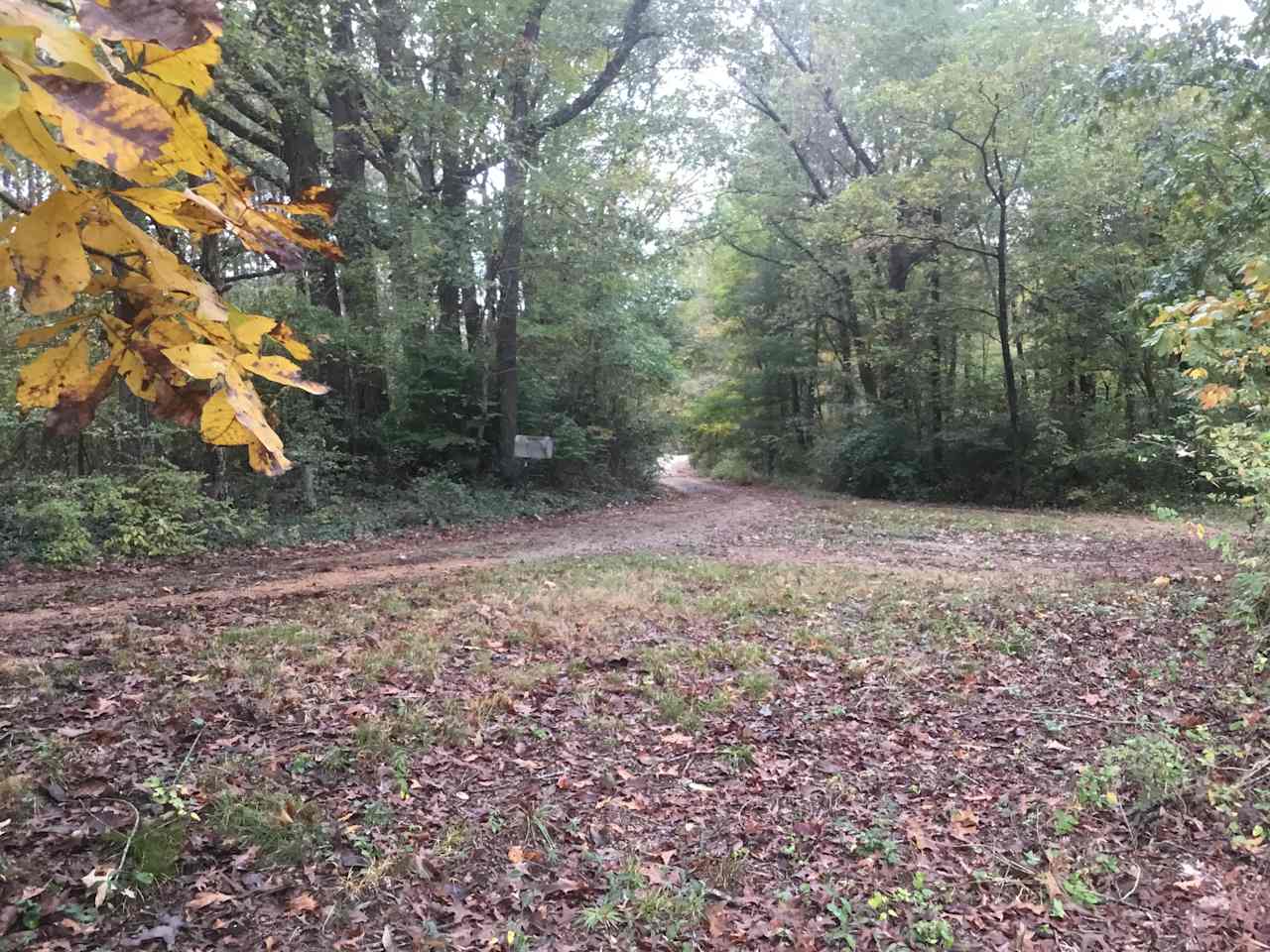 Fieldwoodsorriverbank