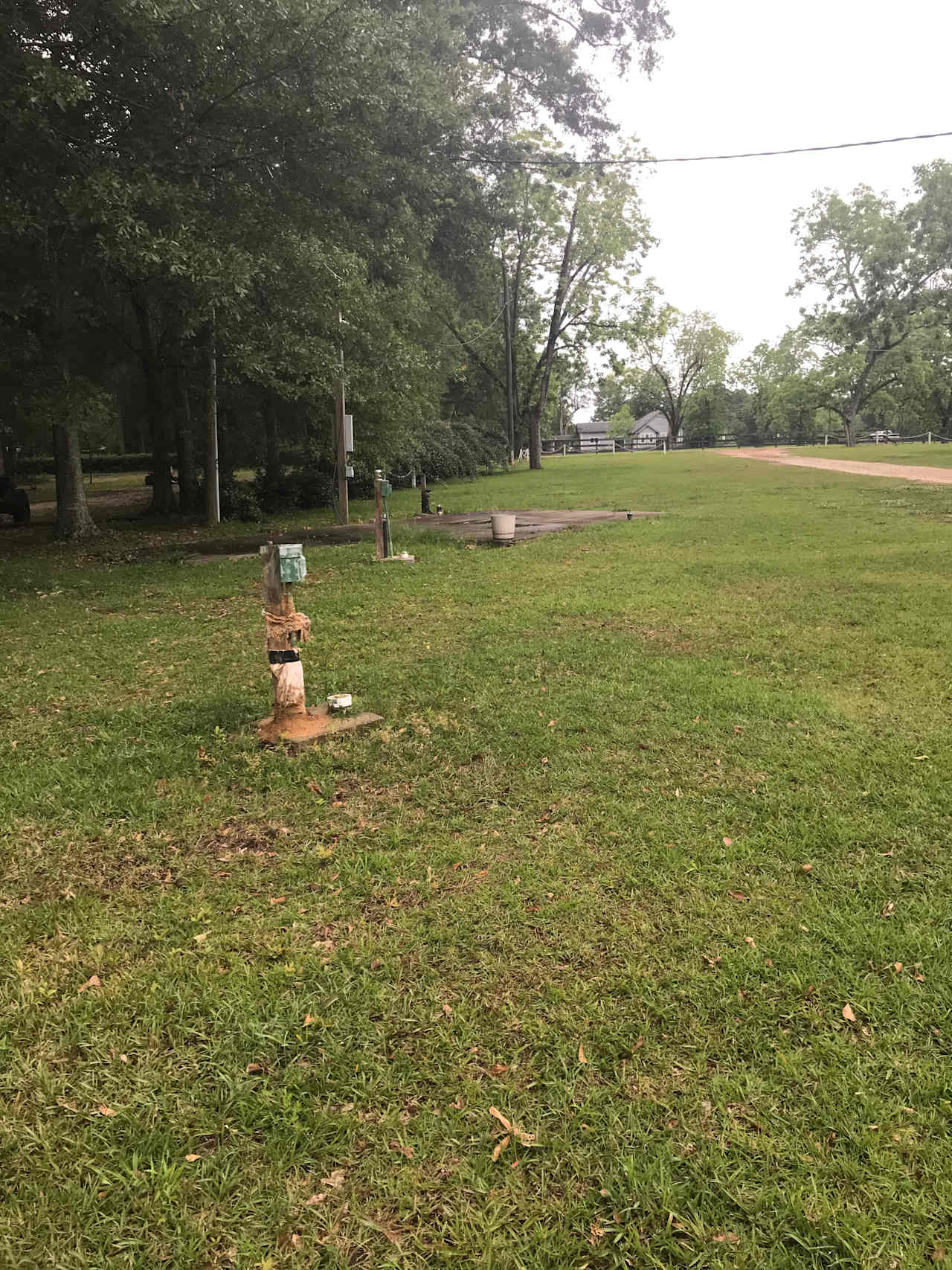 Pecan Orchard camp sites