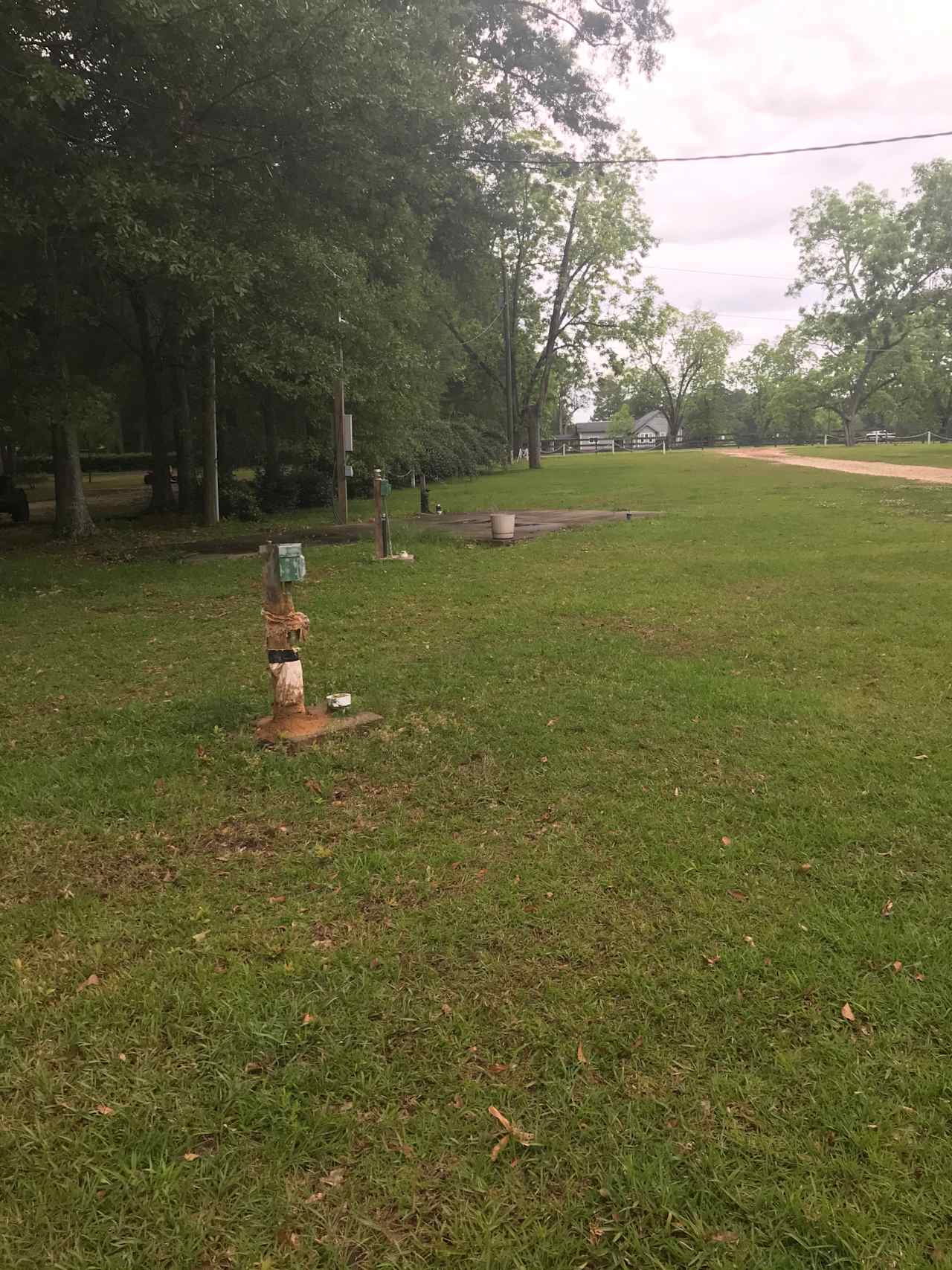 Pecan Orchard camp sites
