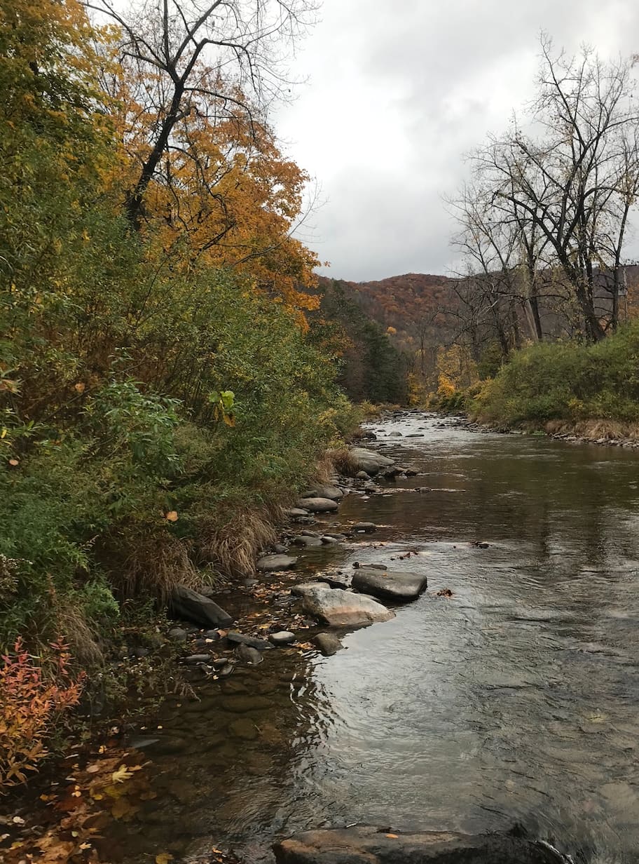 Phoenicia Creekside Cottage
