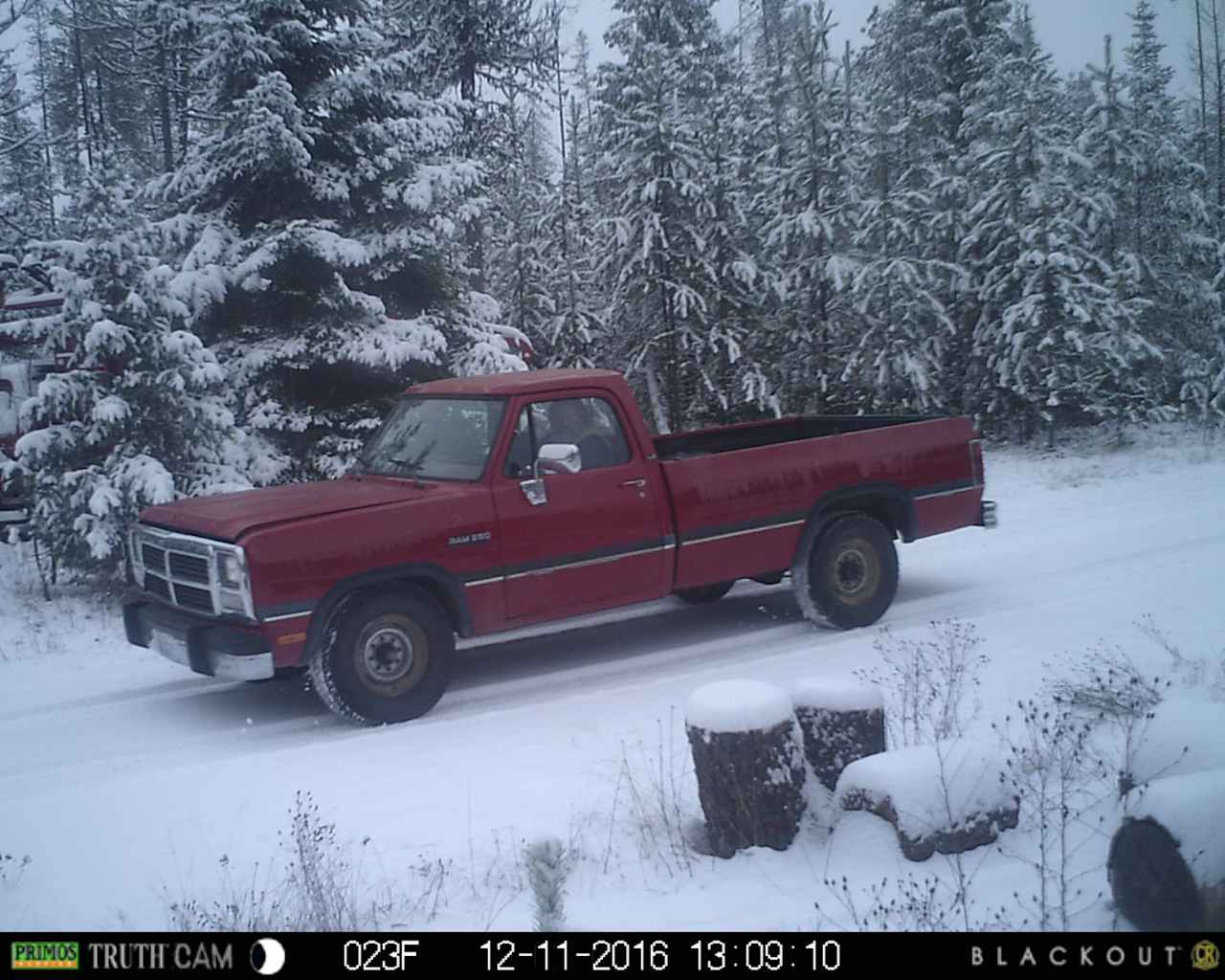 Cooks Mountain Camp