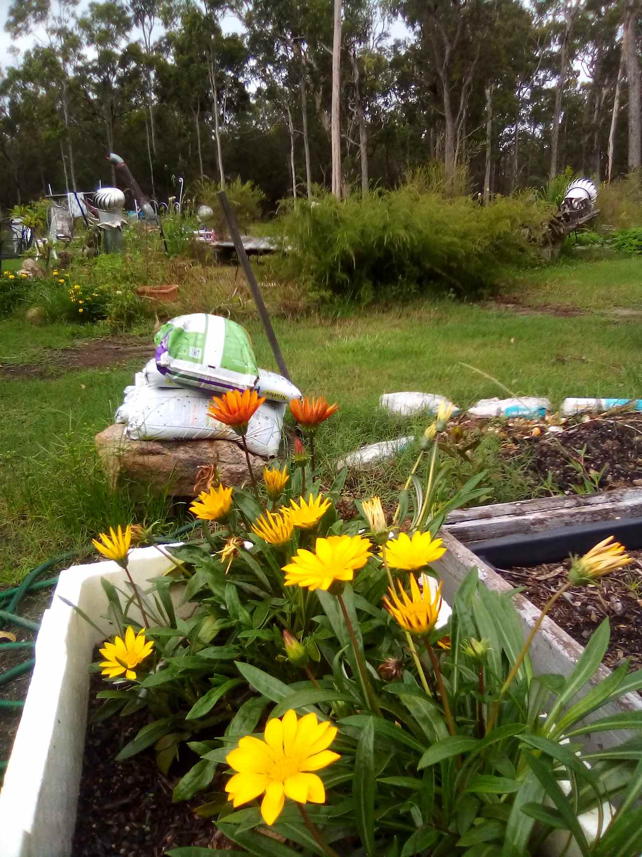 Deergun Bush Camp
