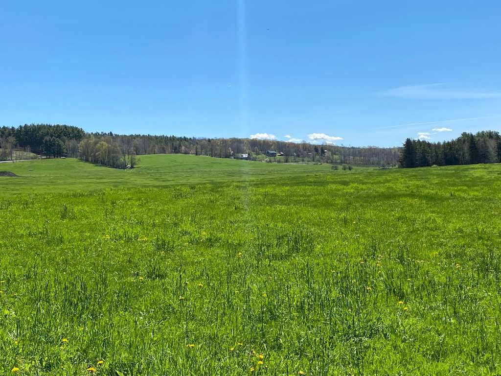 View of field from site 1