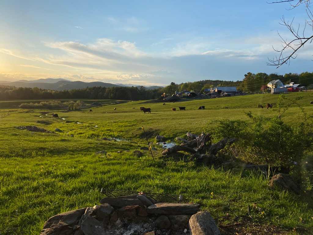 Sugar Wood Meadow Camping