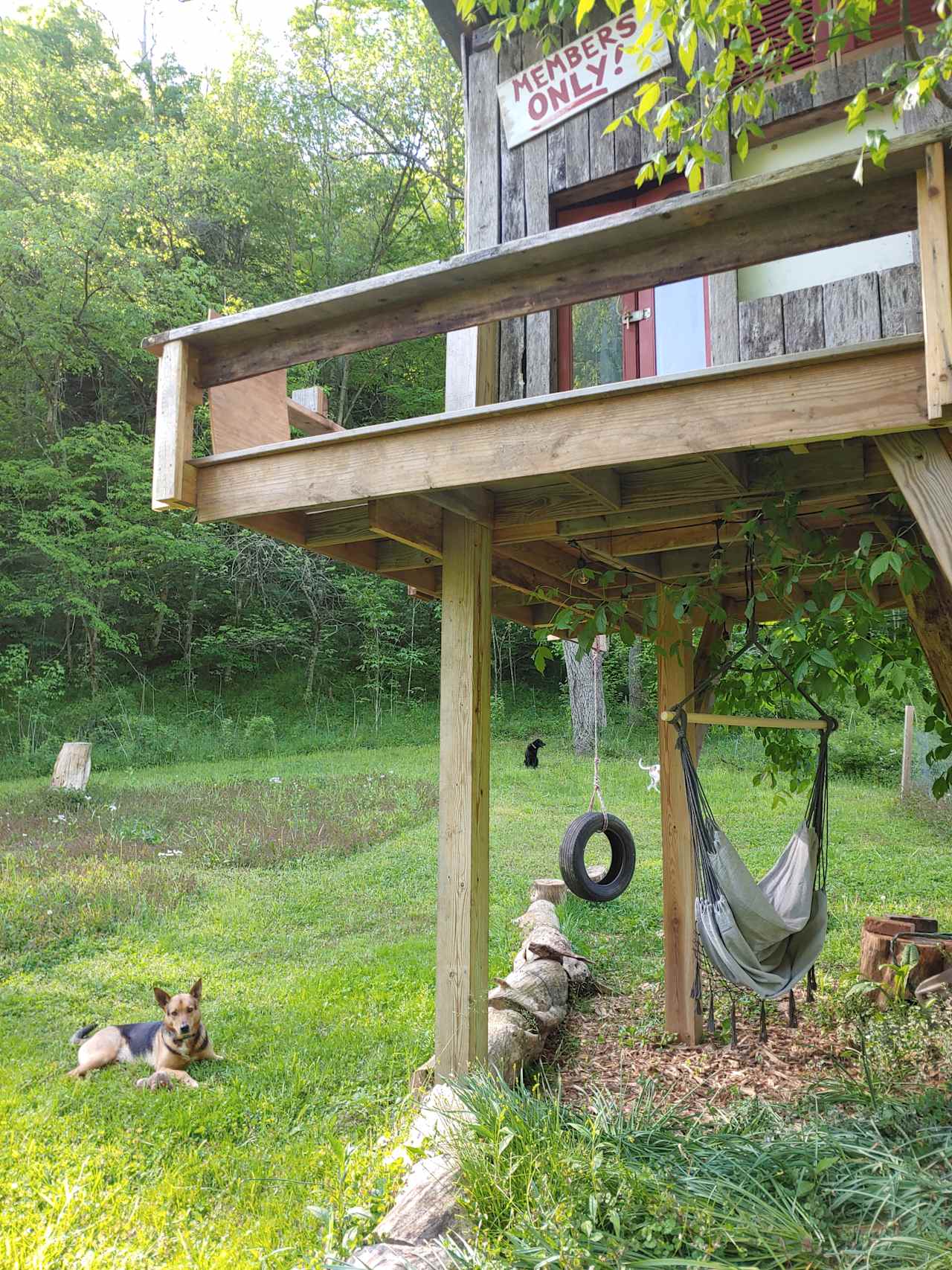 5 Leaf Farm