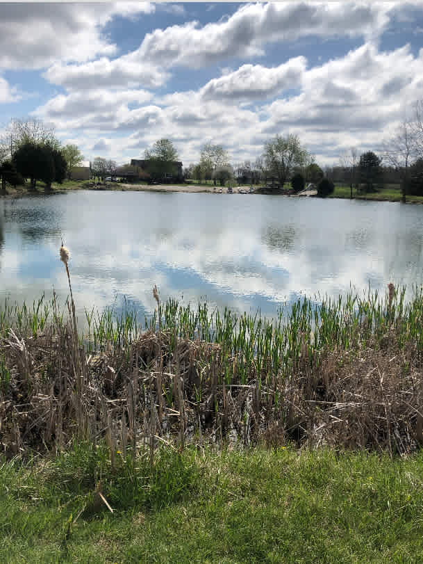 On Cedar Pond