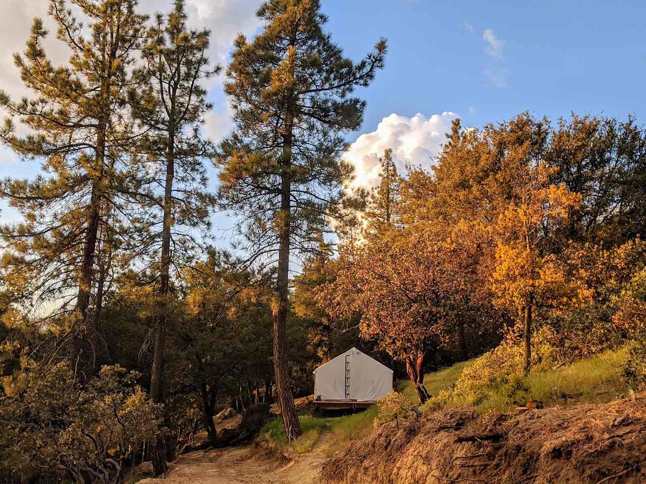 Serene forest privacy for 4WD