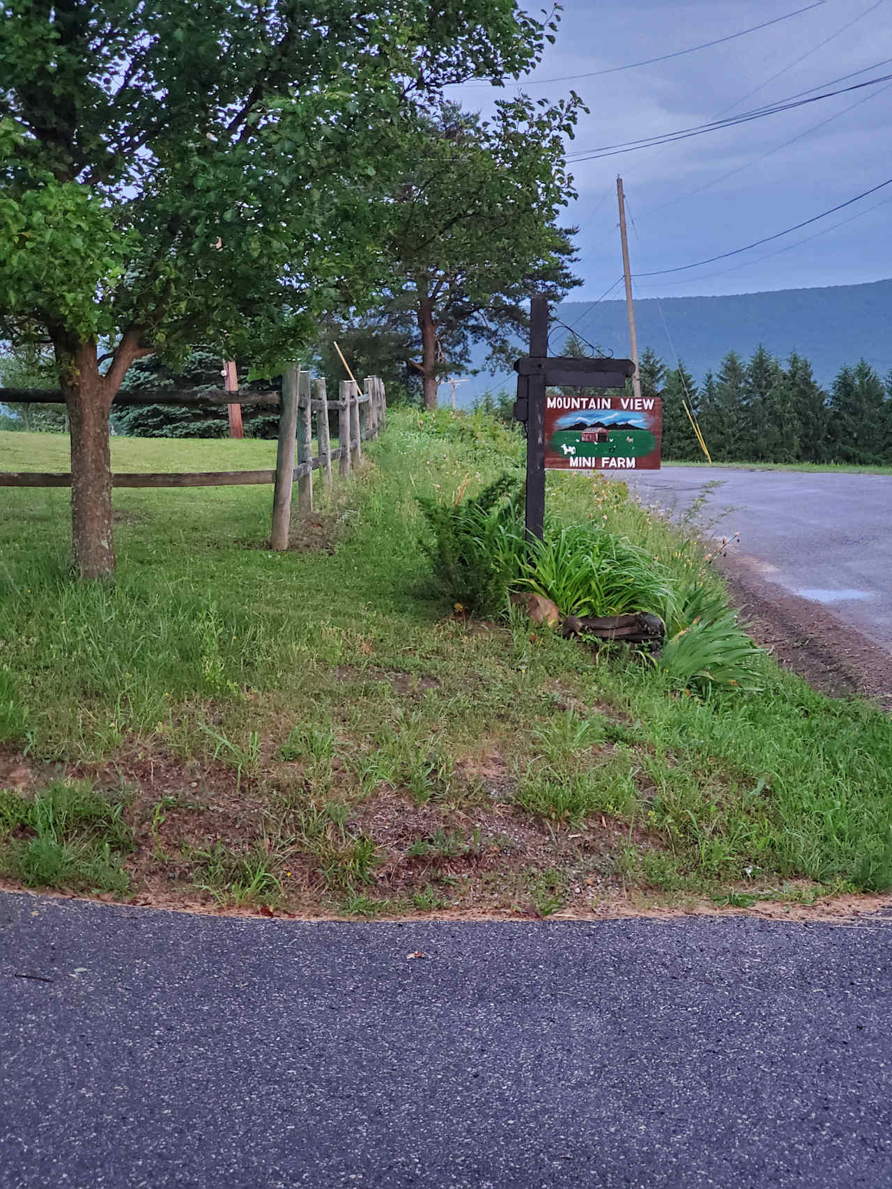 Entrance to Mountain View Mini Farm.