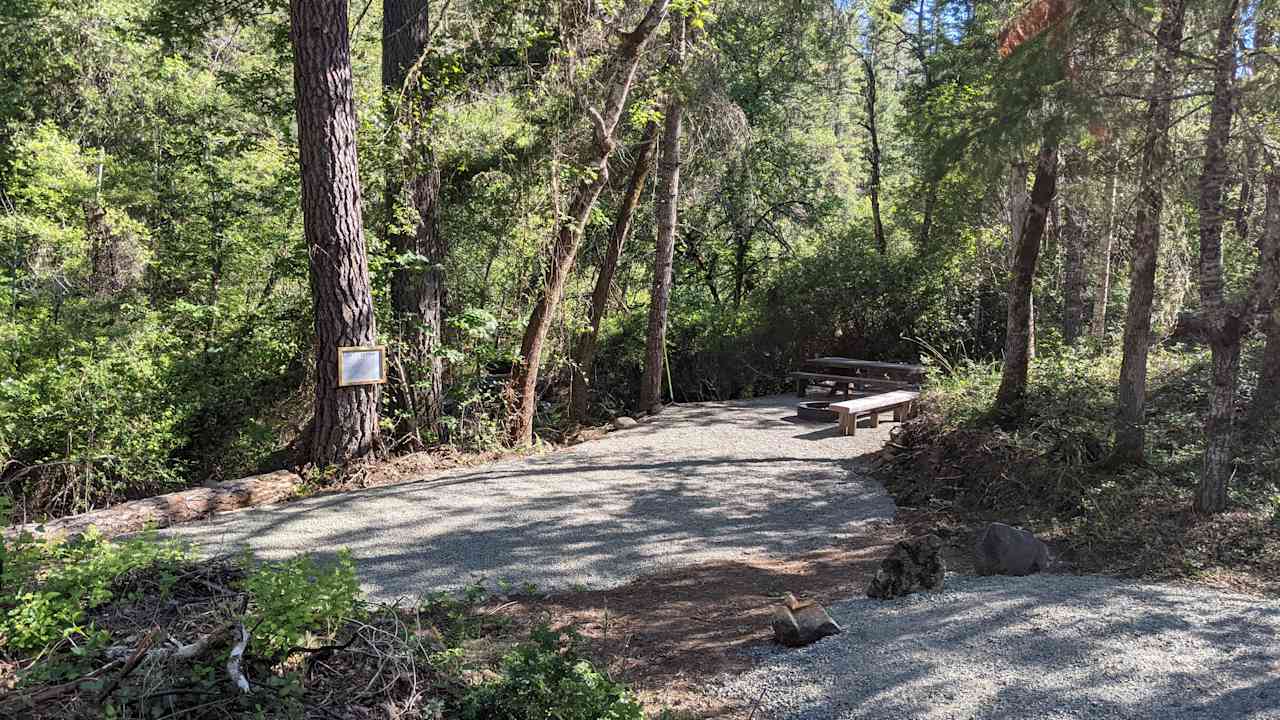 Forested creekside campsite