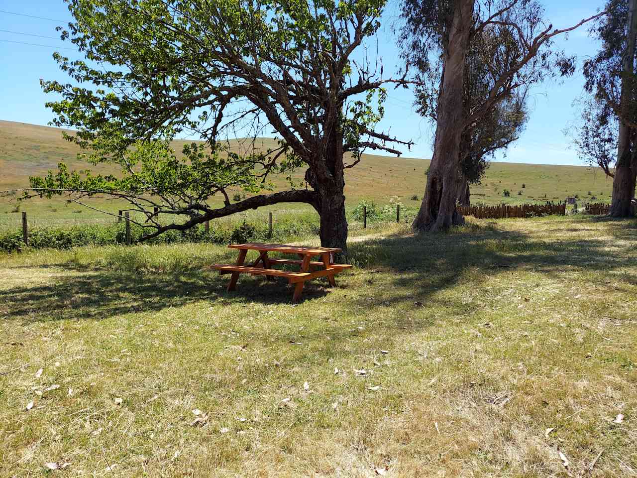 The Meadow Grove of Hands Full Farm