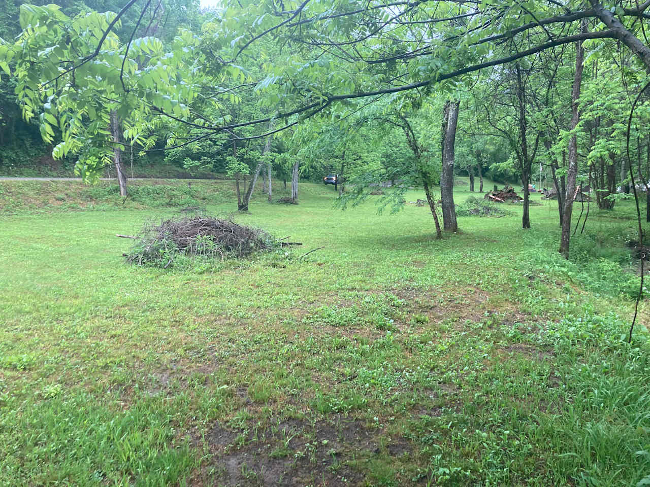 Open field