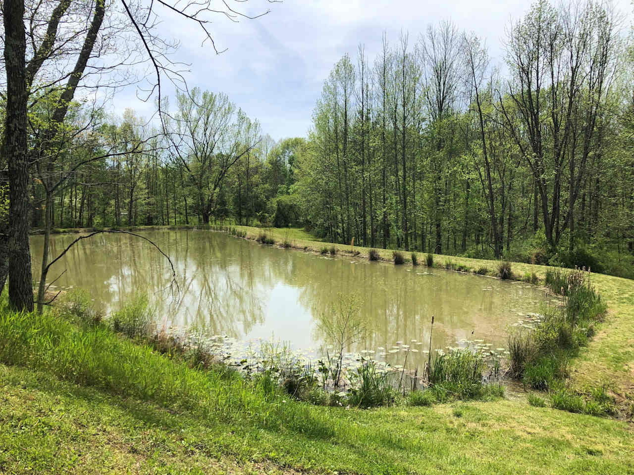 Variety- pond, field, shaded